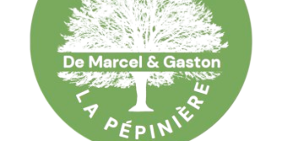 Création de site internet