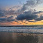 IMG_8100