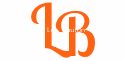 Bouton Léo Portfolio