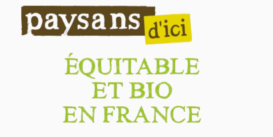 Étude marketing stratégique