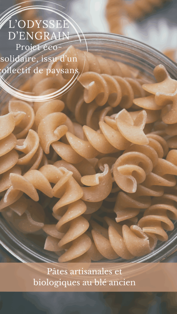 Projet éco-solidaire, issu d'un collectif de paysans (3)