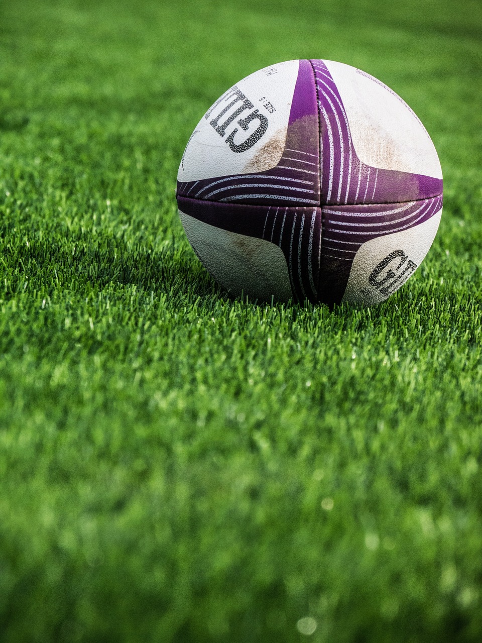 rugby, sport, ball, grass, leisure, green, green sports, nature, rugby, rugby, rugby, rugby, rugby