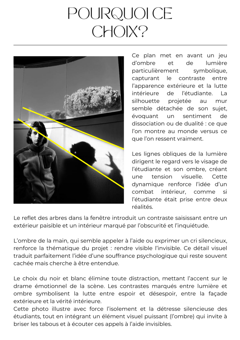 Justification du choix - Campagne de sensibilisation