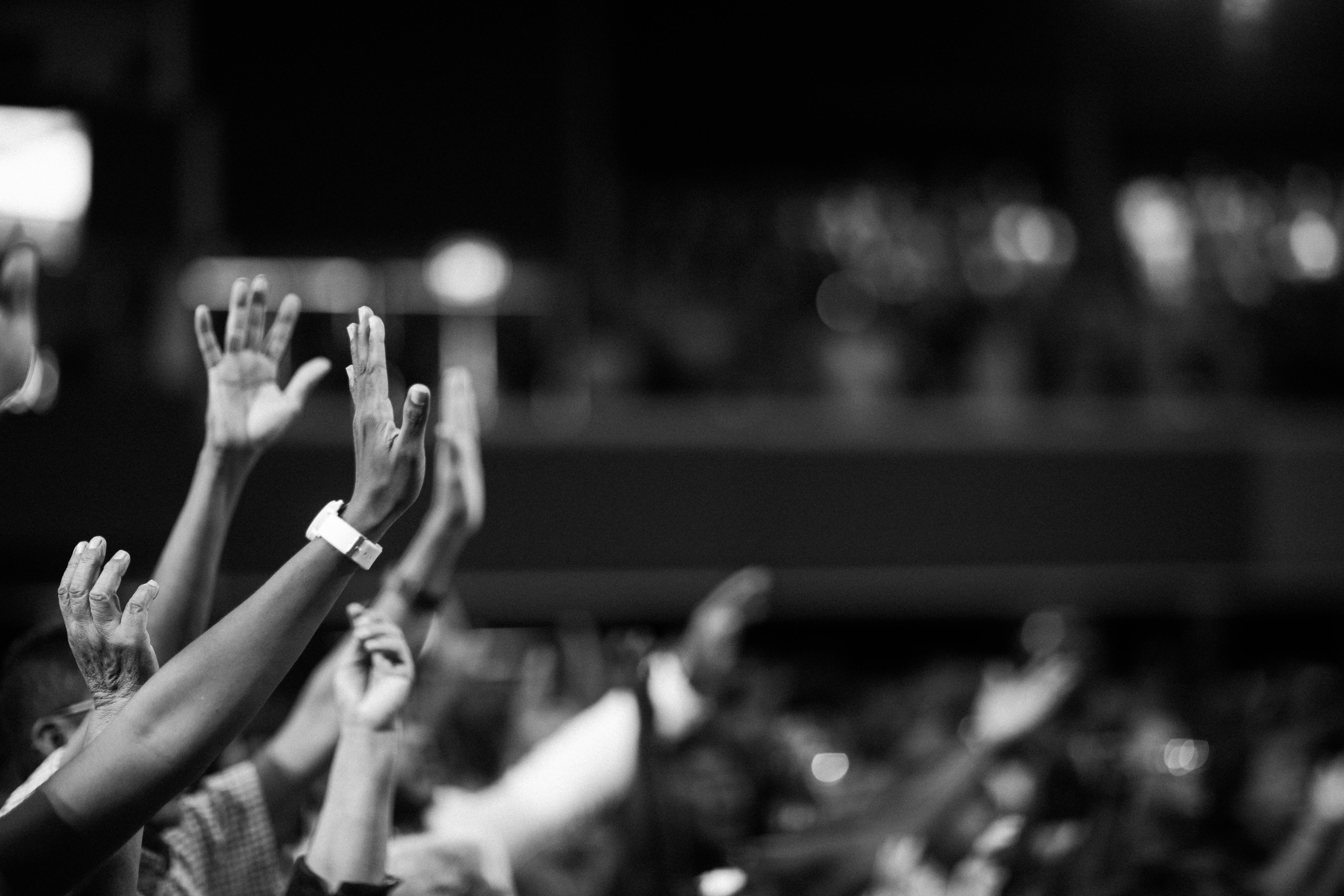 pexels-photo-2014773-2014773
