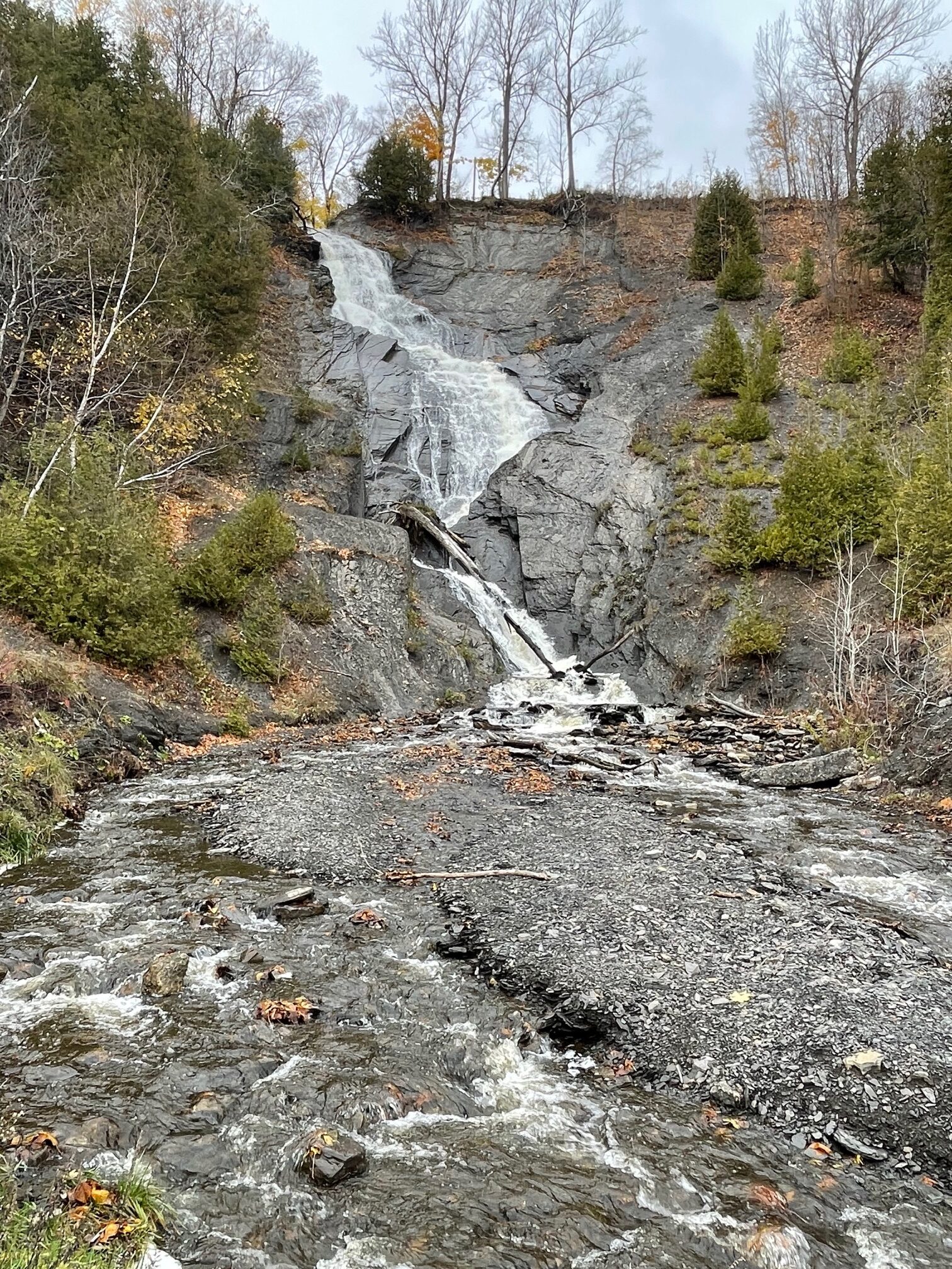 IMG_3011