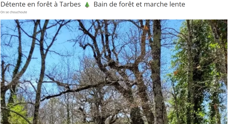 Capture d'écran 2026-03-31 120114