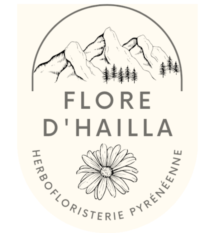 Création d&rsquo;une stratégie marketing