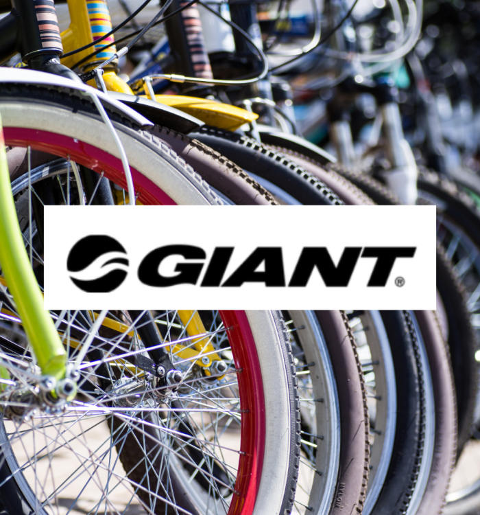 Caractérisation de l&rsquo;entreprise GIANT et de son environnement