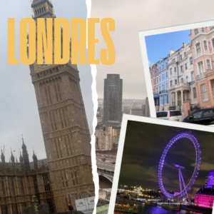 Capture d'écran 2025-12-23 122727