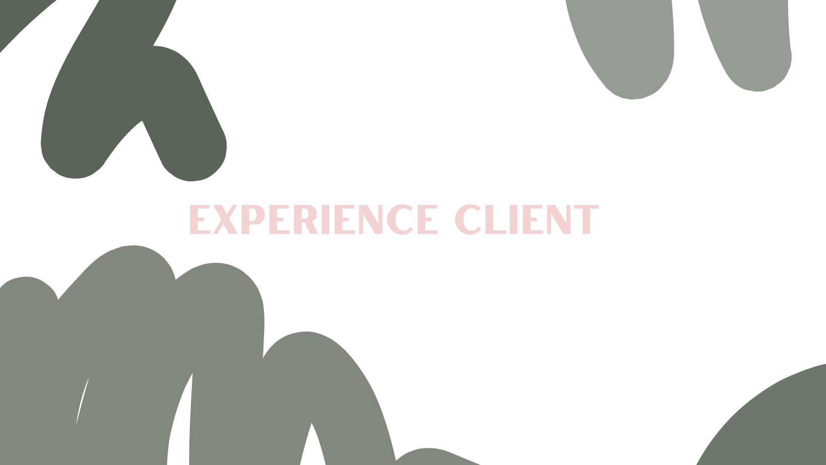 EXPERIENCE CLIENT
