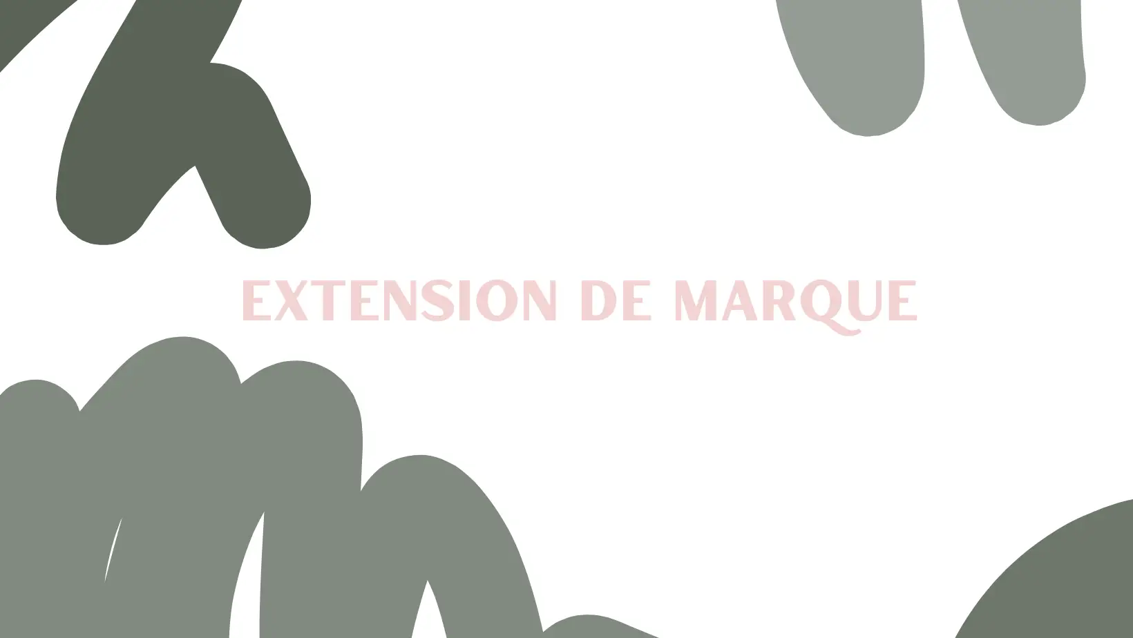 EXTENSION DE MARQUE