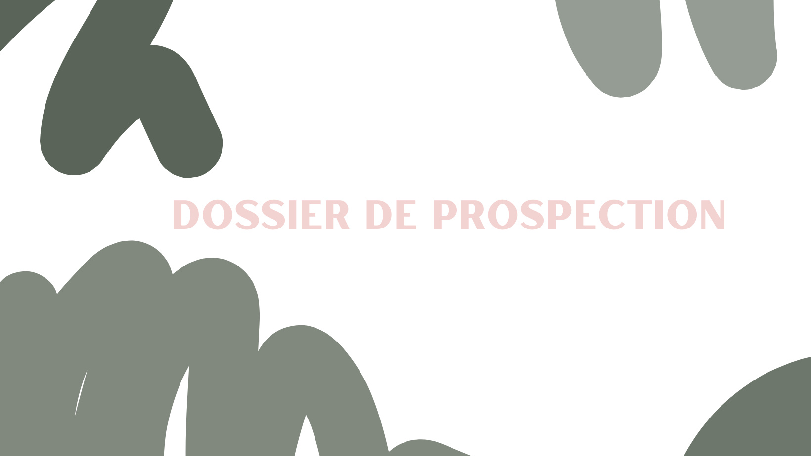DOSSIER DE PROSPECTION