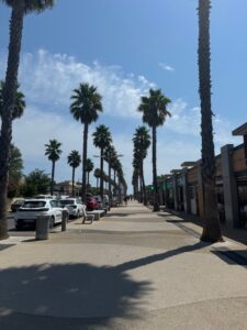 IMG_3688
