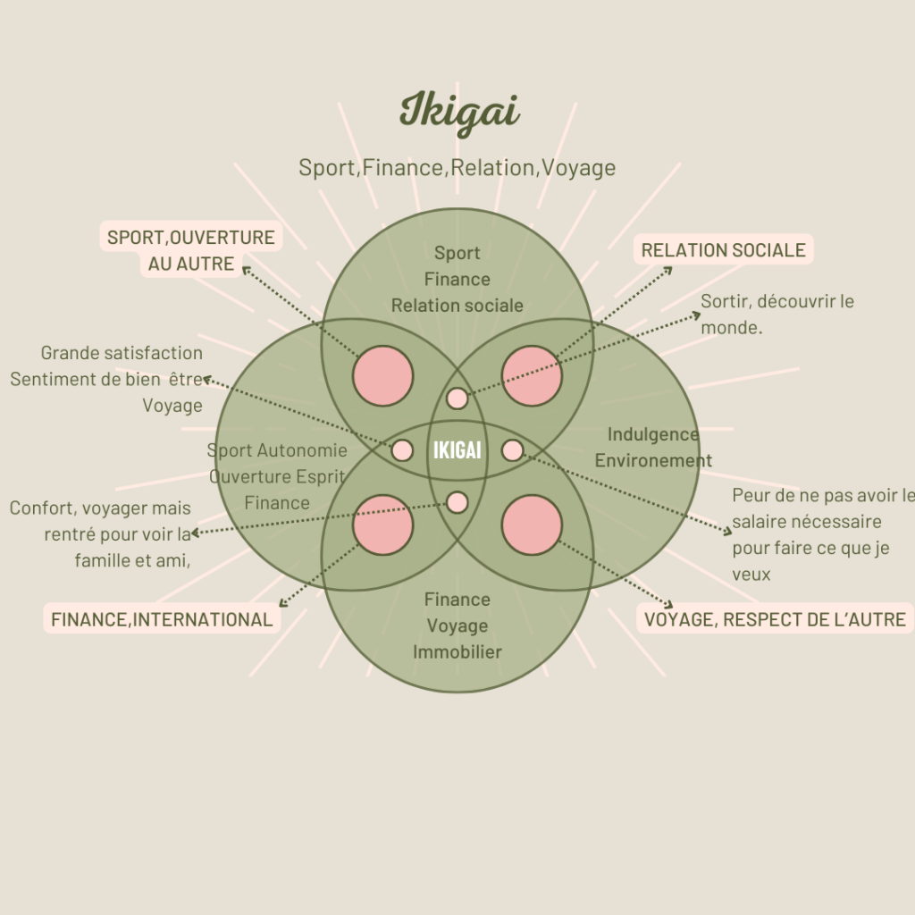 publication instagram diagramme ikigai illustration rose et vert pastel