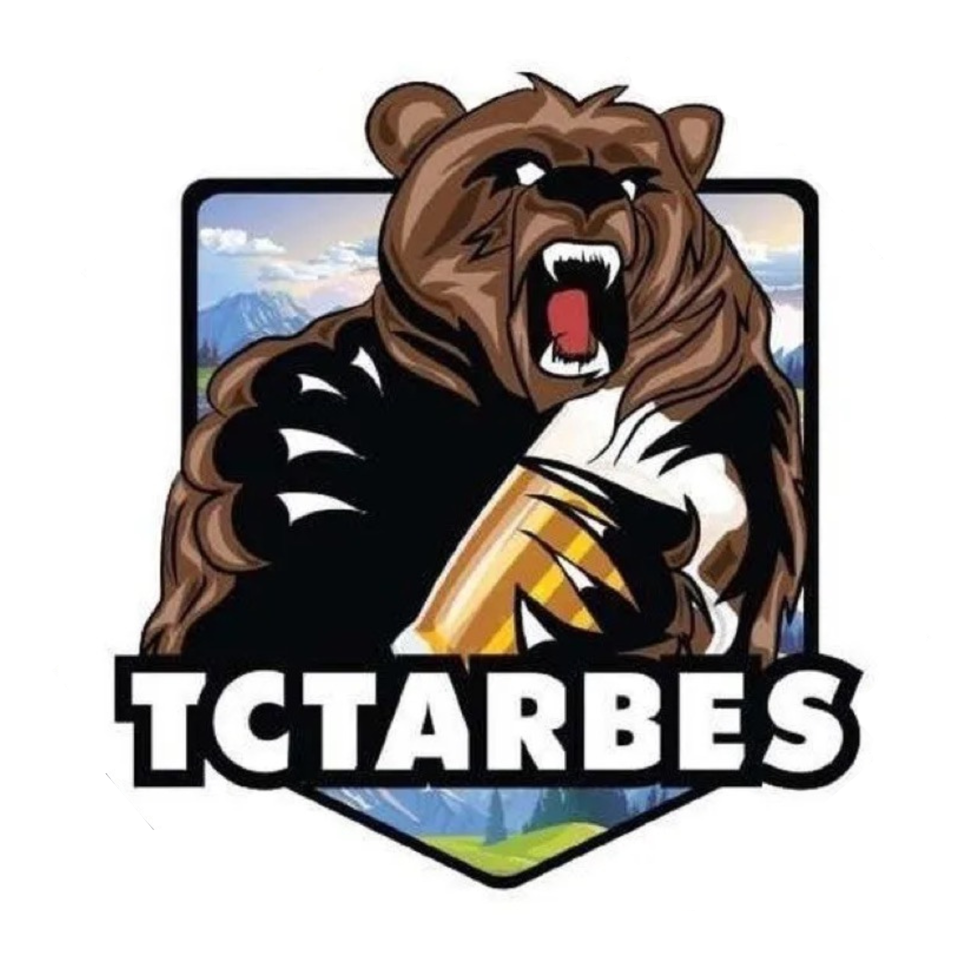 RESPONSABLE PARTENARIAT BUREAU DES ETUDIANTS
