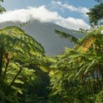 footer cta 1024x289.jpg