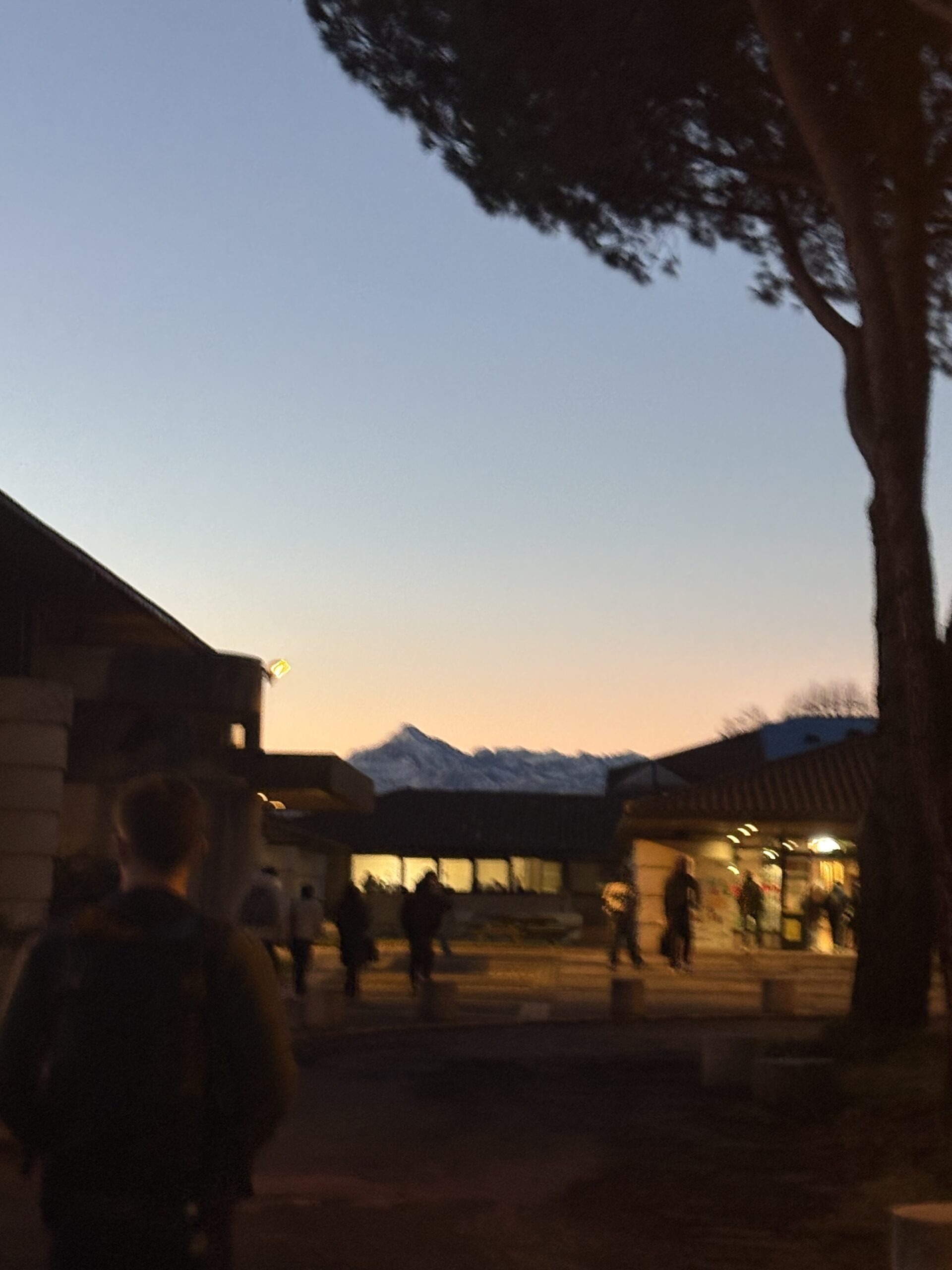 img 9382