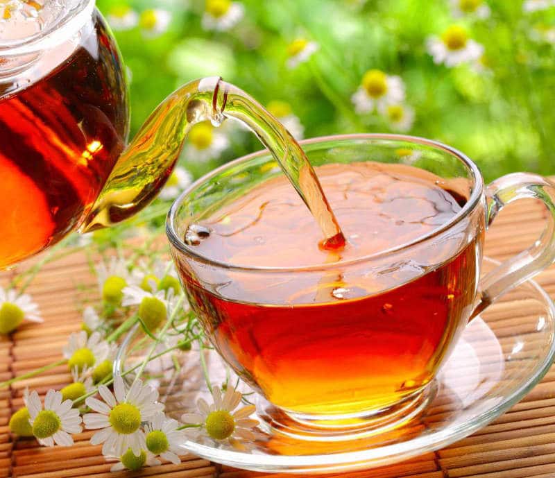 difference the vert rooibos 1
