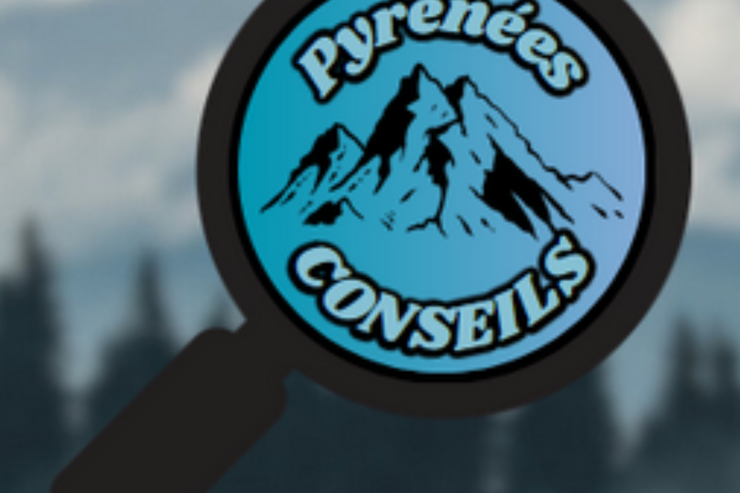 PY CONSEILS