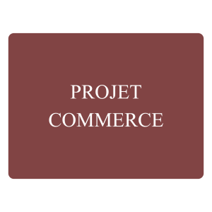 Commerce – Relation client & animation de réseau de distributeurs