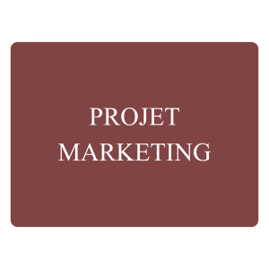 Marketing – Analyse d&rsquo;une stratégie marketing dans un contexte complexe et instable, le cas DANONE