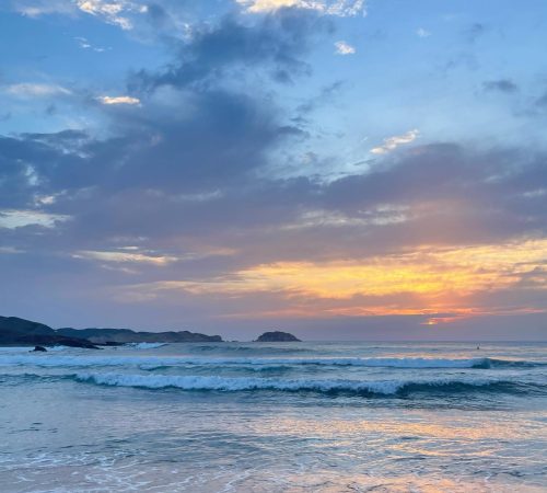 0187B7A6-139F-49DD-BC34-D7EA12917555