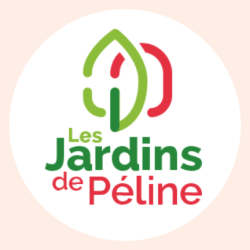 Gedstion et animation des réseaux sociaux (17)