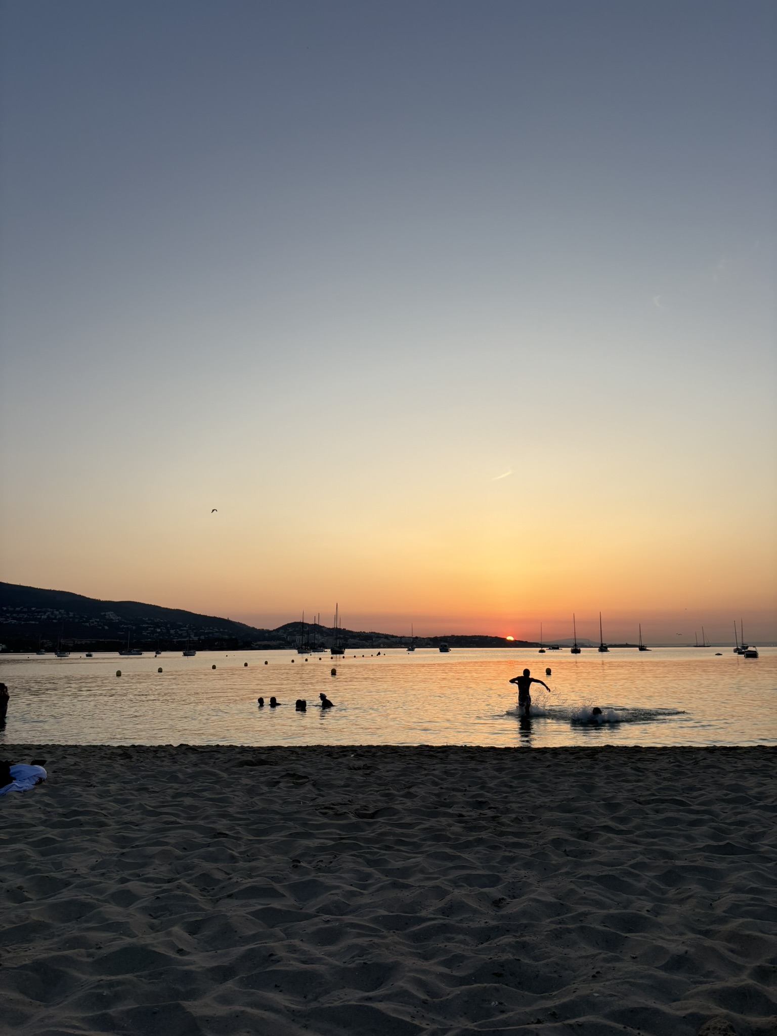IMG_0688