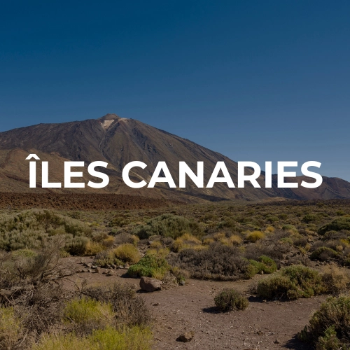 îles canaries